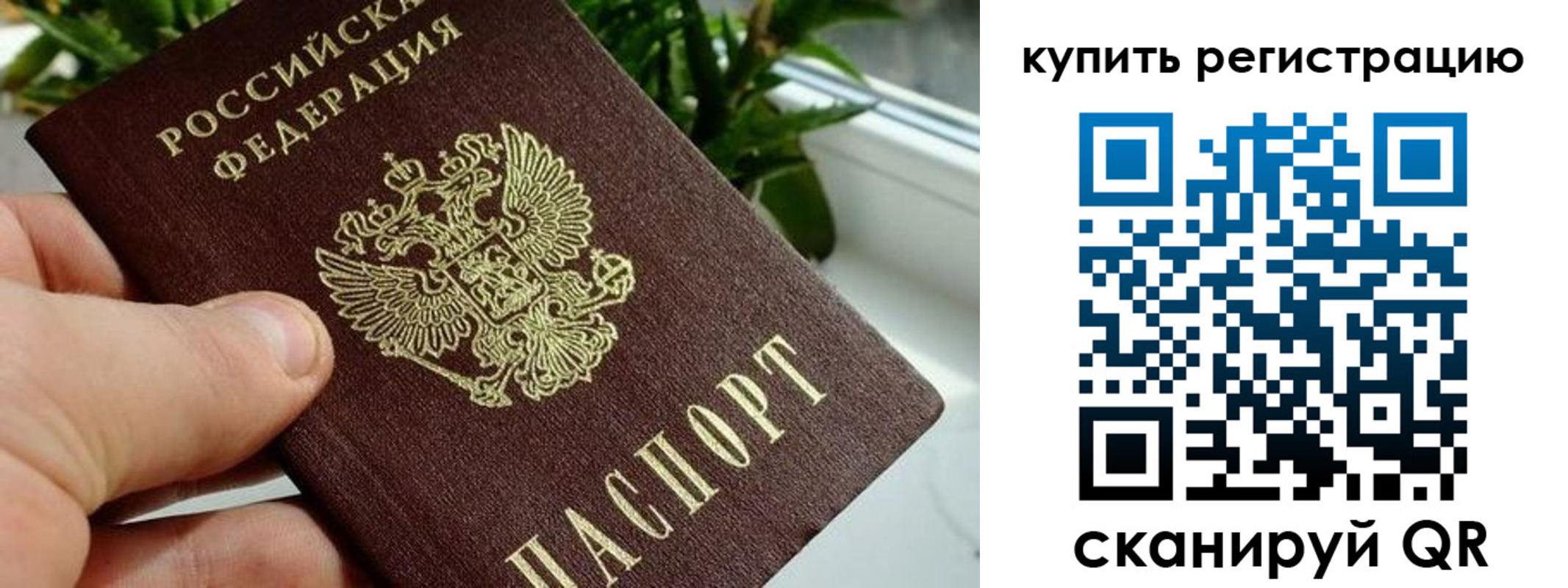 прописка гарантия в Кашире